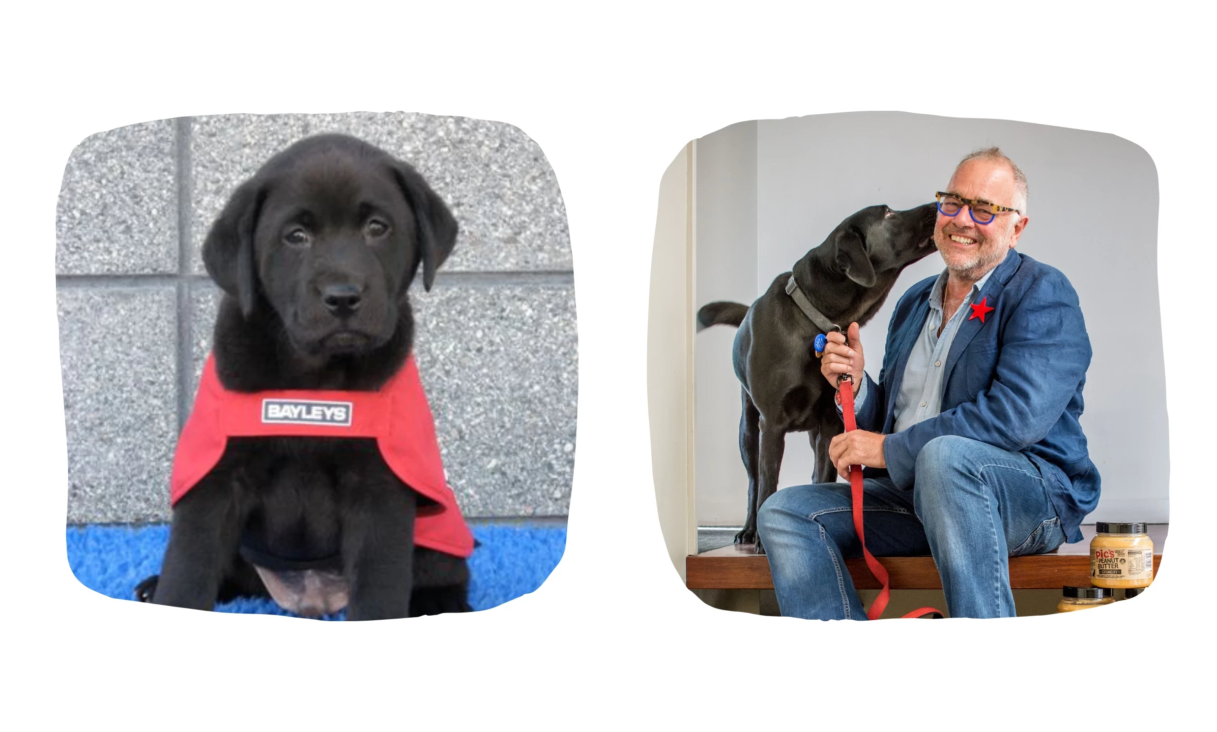 Fido and Pic